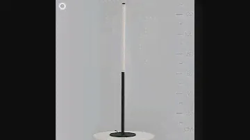Торшер Maytoni Ray Z012FL-L18B3K