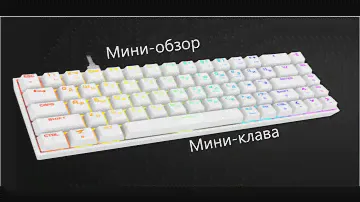 Immortality Mini Zet Gaming