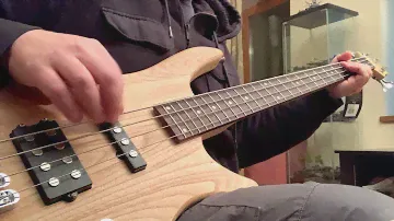 The Number Of The Beast Cover / Stagg SBF40