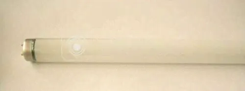 Лампа люминесцентная FL 40W-32/635 40Вт T8 3500К G13 Лисма-0