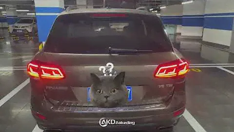 Тюнинг фонари VW Touareg nf
