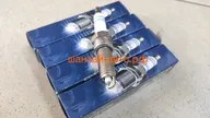   Chery Tiggo FL, Tiggo 3 1.6 Bosch 0 242 129 525