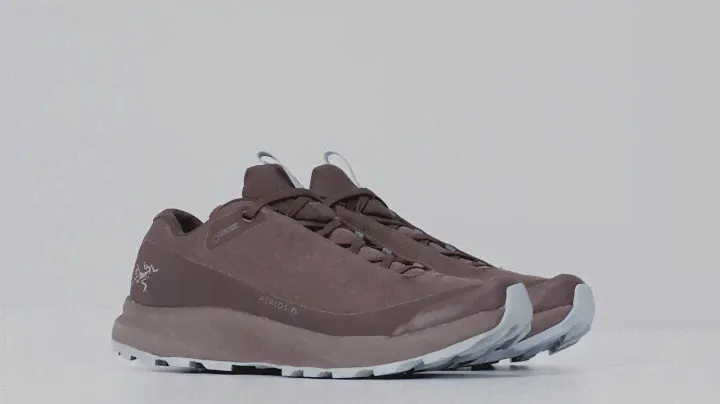 Arc'teryx - Aerios FL GTX Shoe Women's - Saskajam / Aeroscene
